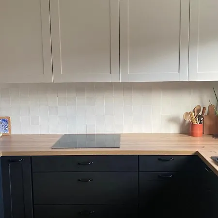 Charming Single-storey House Saint-Andre-lez-Lille